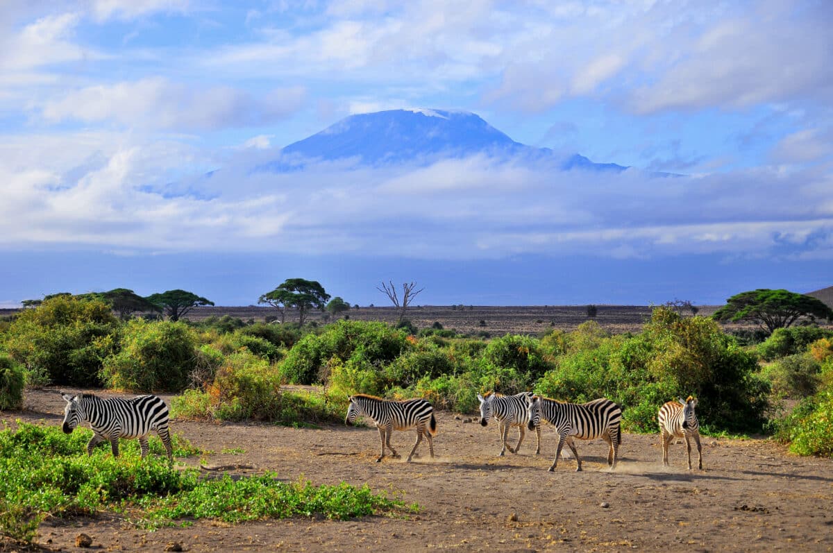 Mount Kilimanjaro Itinerary | Climb Kilimanjaro