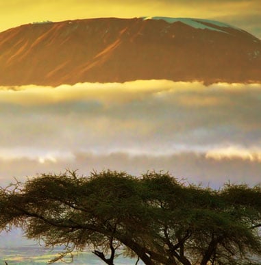 Climb Kilimanjaro | Mountain Guides | US-Based